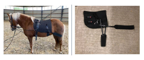 Eques-Core-Trainer-System