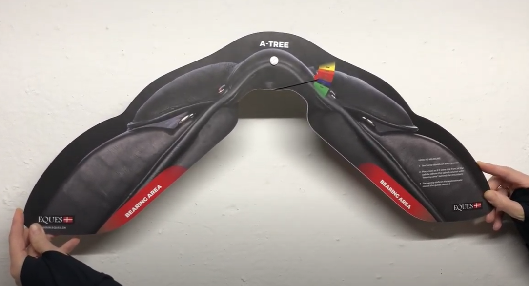 Eques-kopfjernsmaaler