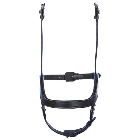 StepByStep-fusion-noseband