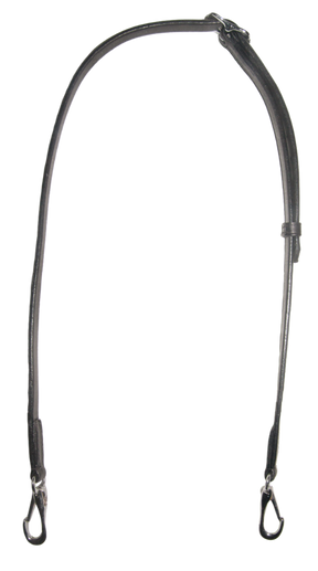 k301q-chr
