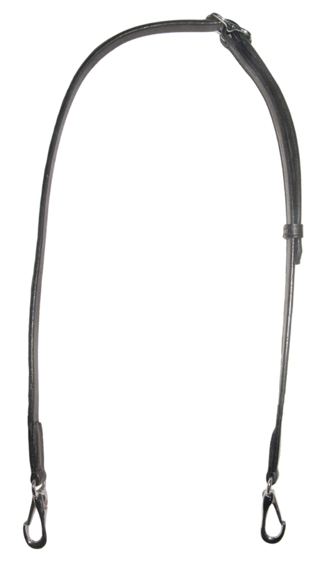 k301q-chr