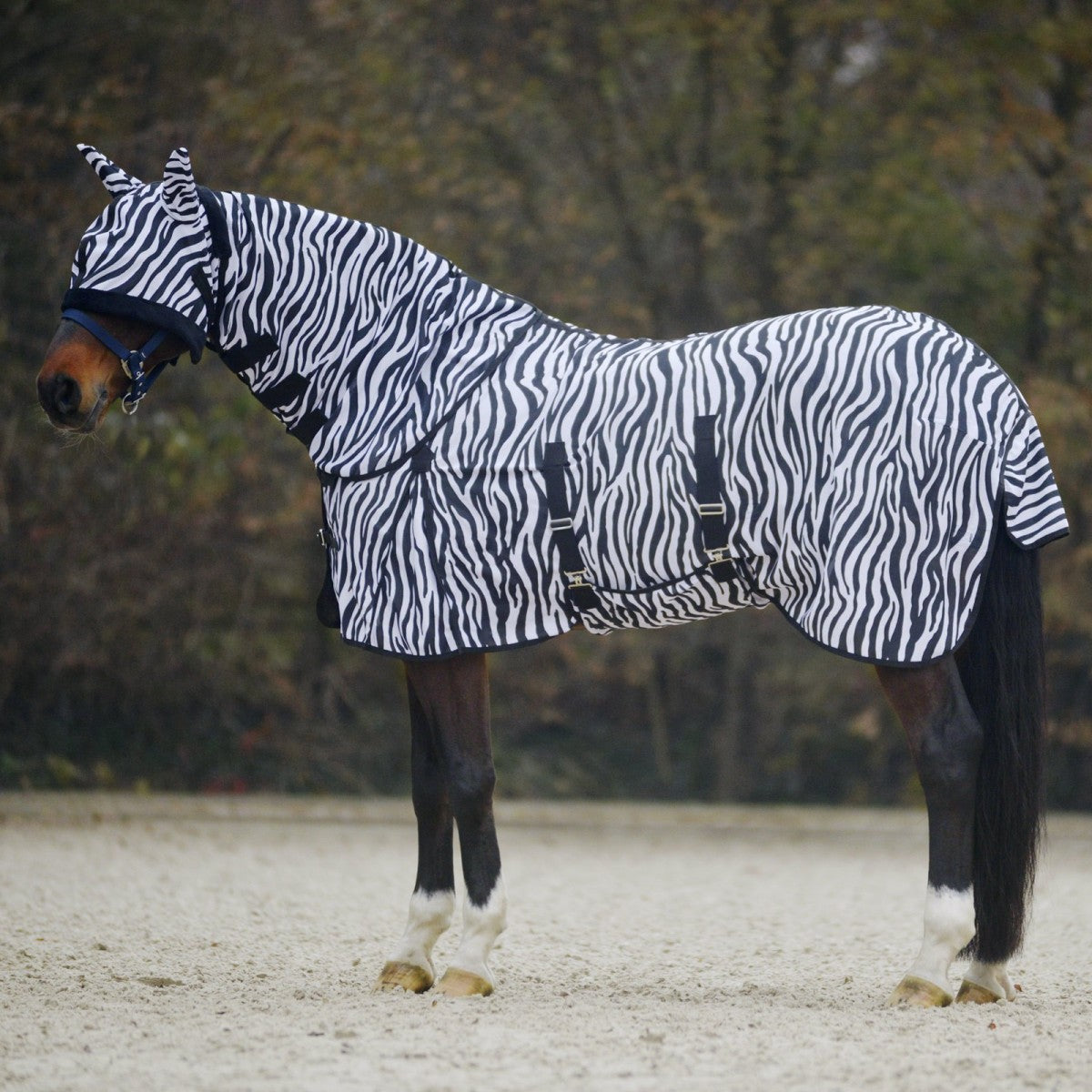 Anti-fly "Zebra"
