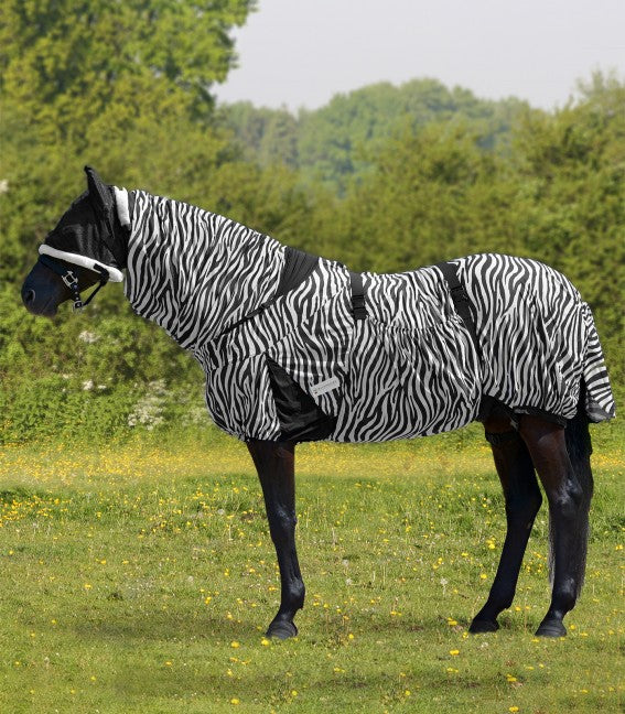 zebrahest