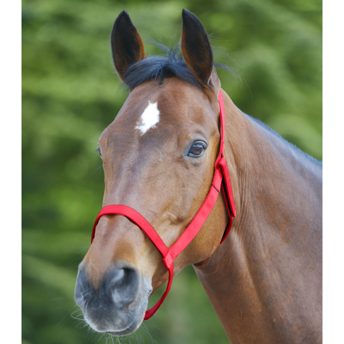 Mark grime uden spænder