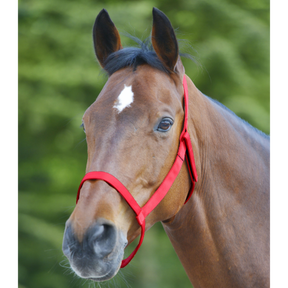 Mark grime uden spænder