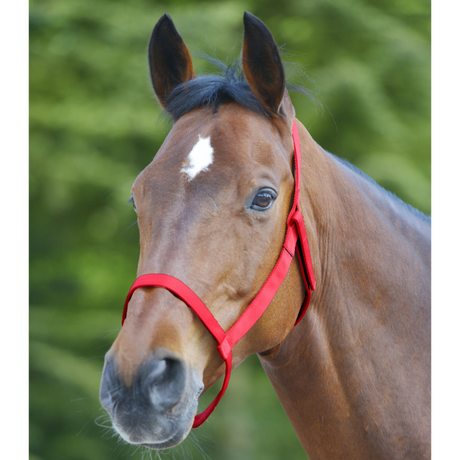 Mark grime uden spænder