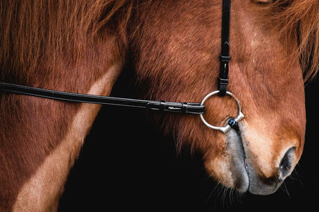 ToljerReinsZugel_2_1800x1199