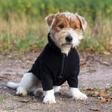 3300BiancaDogJumperWEB02_2048x2048