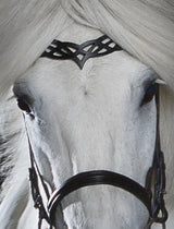 headstall_C