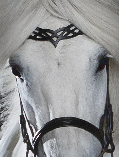 headstall_C