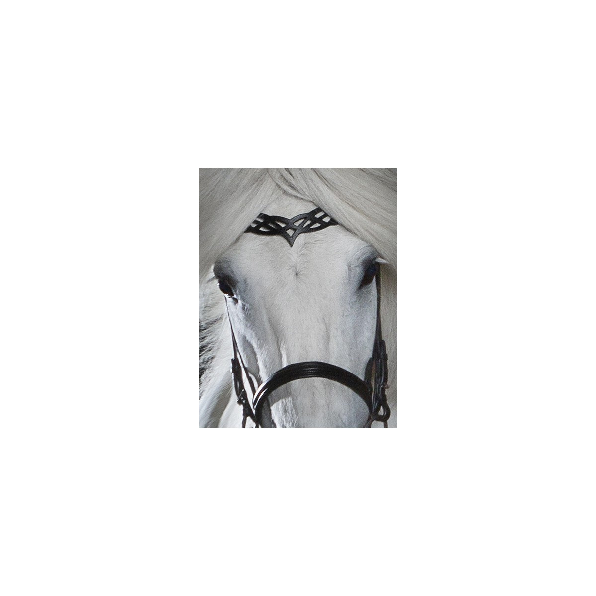 Hrimnir Heritage nakkerem "B"