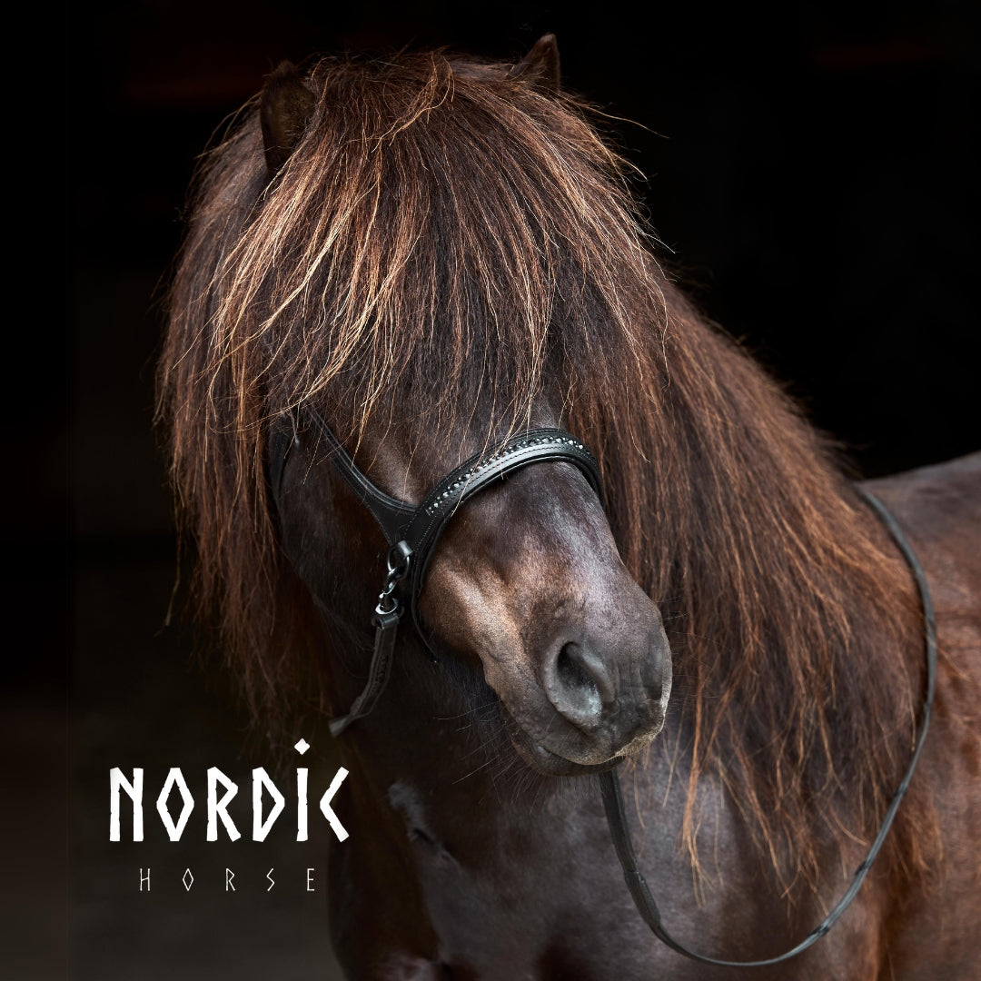 Nordic Horse sidepull - All Black