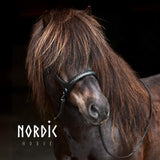 Nordic Horse sidepull - All Black