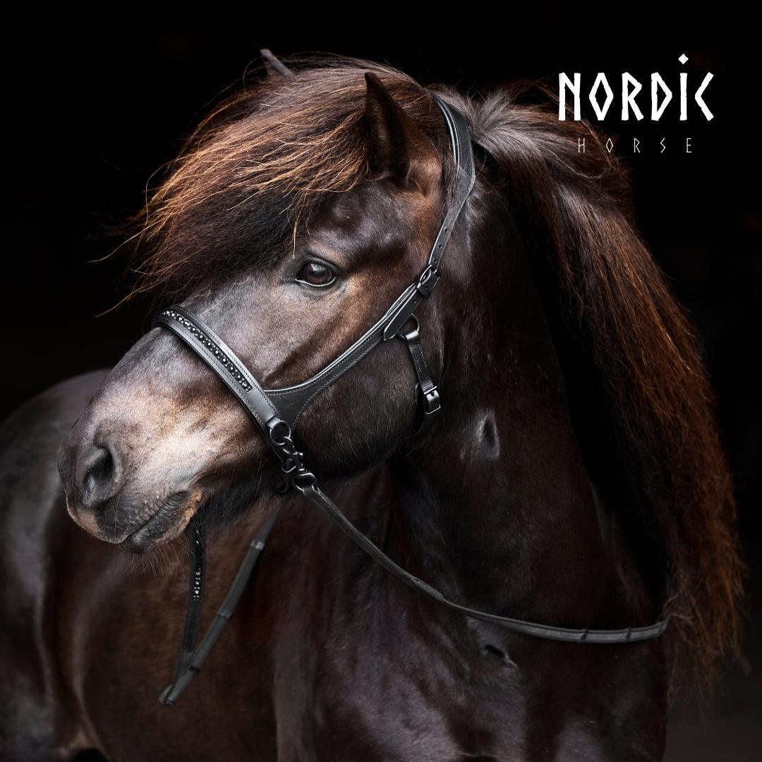 Nordic Horse sidepull - All Black