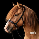 Nordic Horse sidepull - Colour Mix Blå