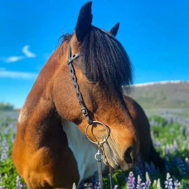 Nordic-Horse nakkerem med udskæringer og sten