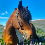 Nordic-Horse nakkerem med udskæringer og sten