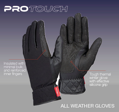 web-diagrams-protouch-gloves