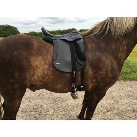 Stigremme beskyttere - Eques