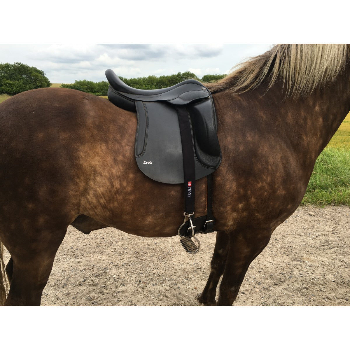 Stigremme beskyttere - Eques