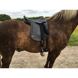 Stigremme beskyttere - Eques