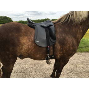 Stigremme beskyttere - Eques