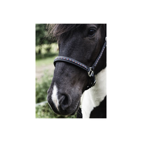 Lædergrime med icecolour sten