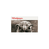 Filtsåler - Woolpower