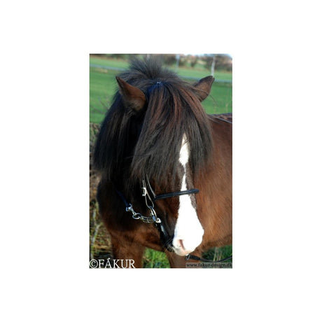 Alm. Engelsk næsebånd Nordic Horse
