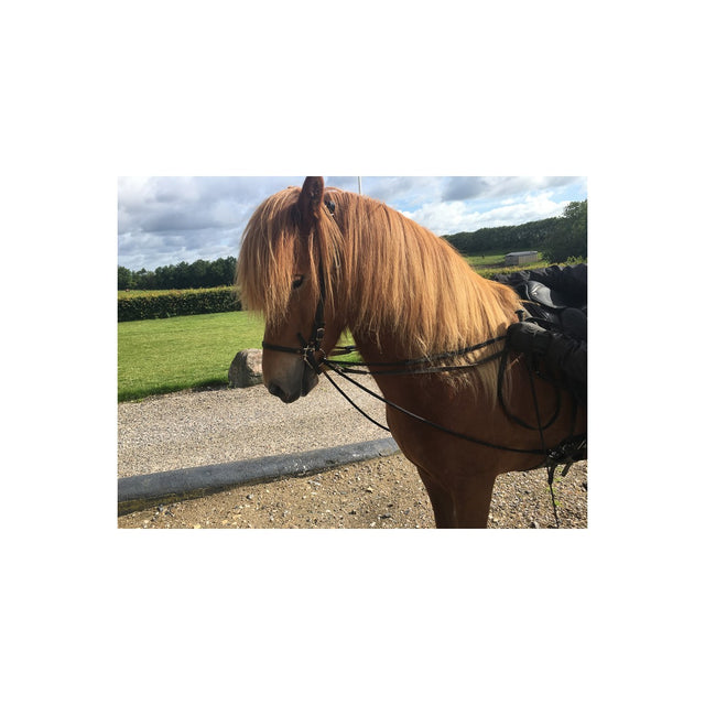 Eques hjælpetøjler