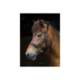 Sidepull Nordic Horse m pyntesten.