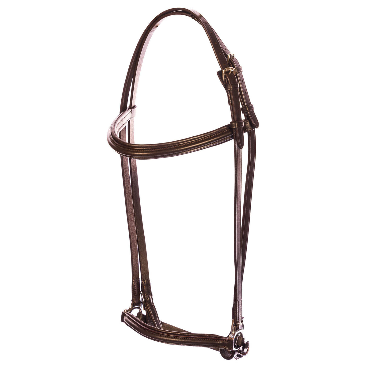 20230703-R5AH6728-Edit-2048×2048