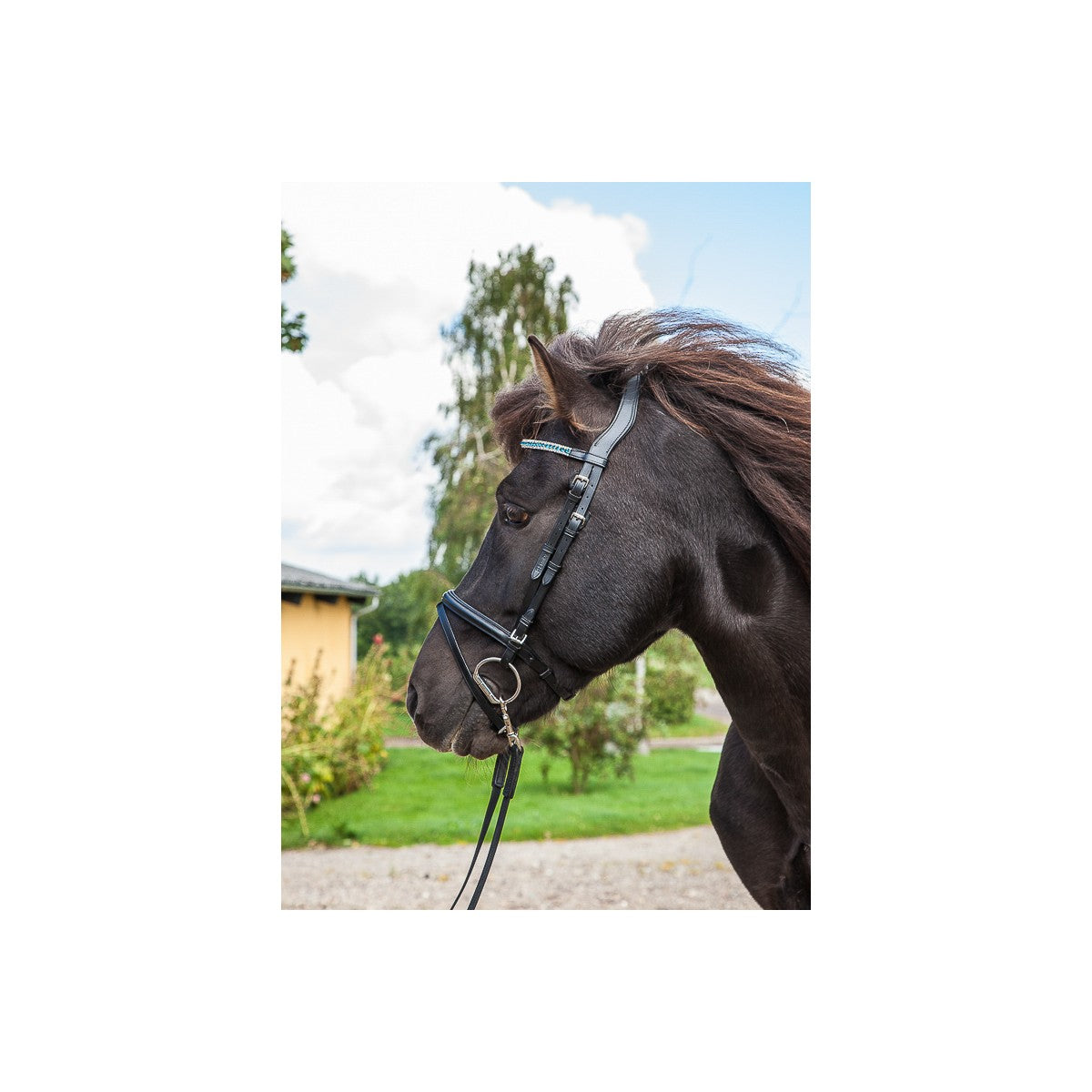 Eques Anatomisk nakkestykke