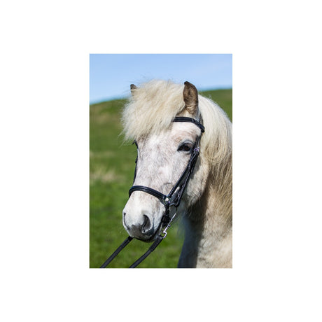 Eques -Hannoveransk næsebånd i sort læder