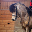 Bridle-SoMe3