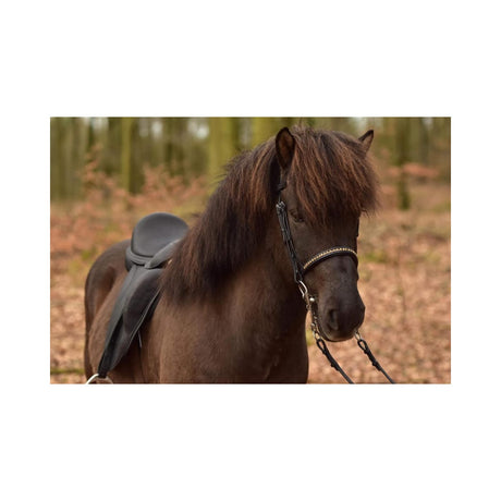 Eques- Engelsk næsebånd m. gyldne krystaller