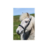 Eques - Anatomisk engelsk næsebånd