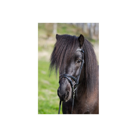 Eques - Kombineret næsebånd i sort læder