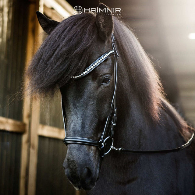 classic_ice_watermark_betra