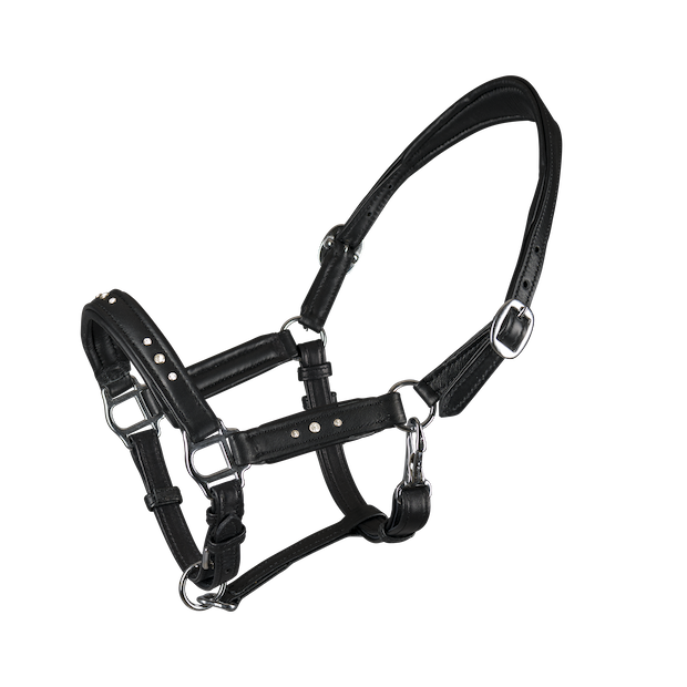 648-fgr-foalhalter-soft