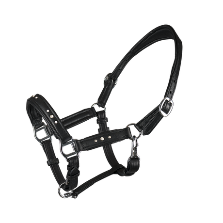 648-fgr-foalhalter-soft