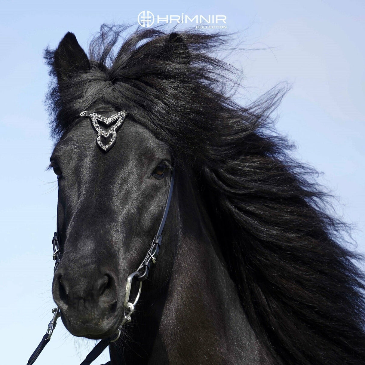 unity_black_horse_k_rager_i (1)