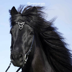 unity_black_horse_k_rager_i (1)