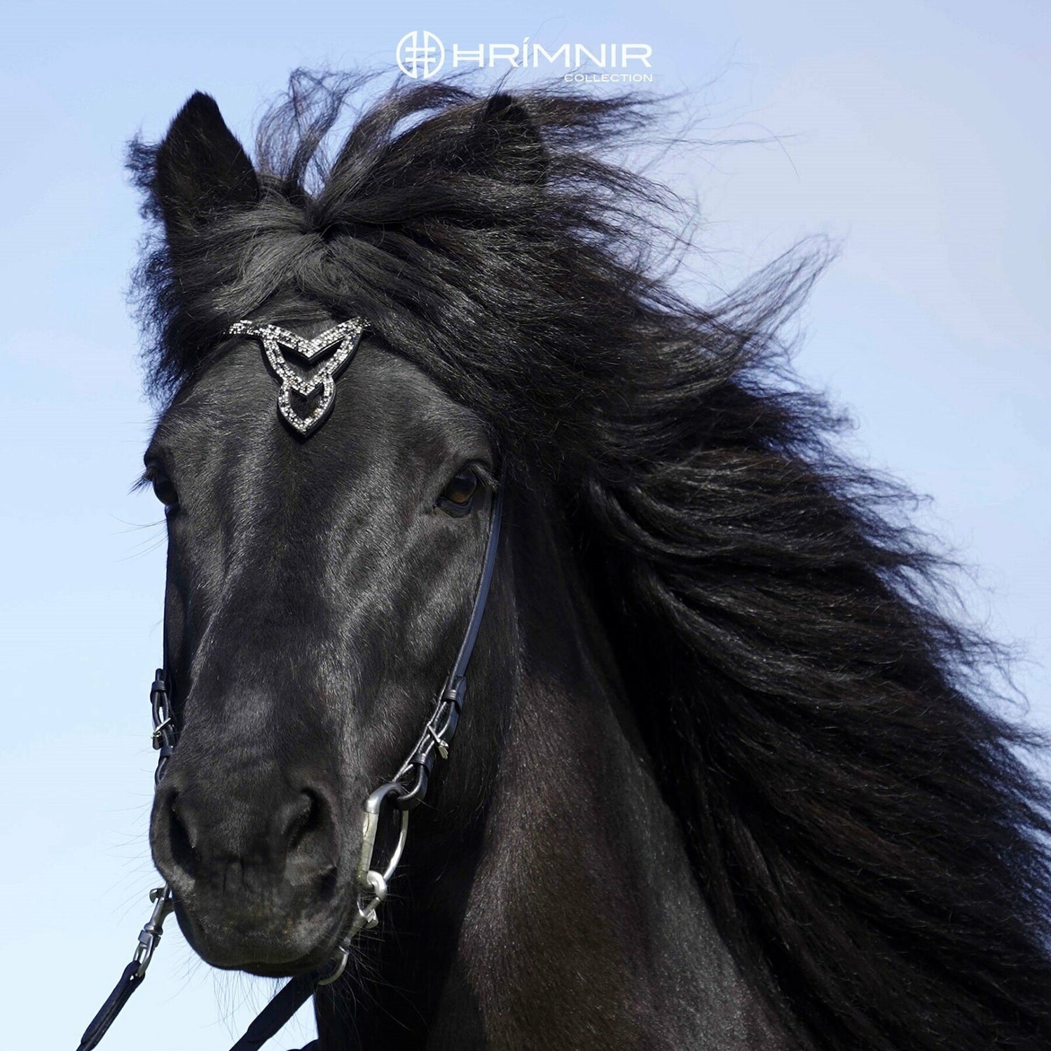 unity_black_horse_k_rager_i (1)