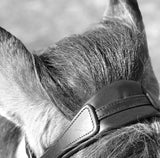 StepByStep-Crownpiece