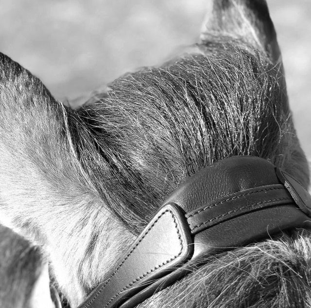 StepByStep-Crownpiece