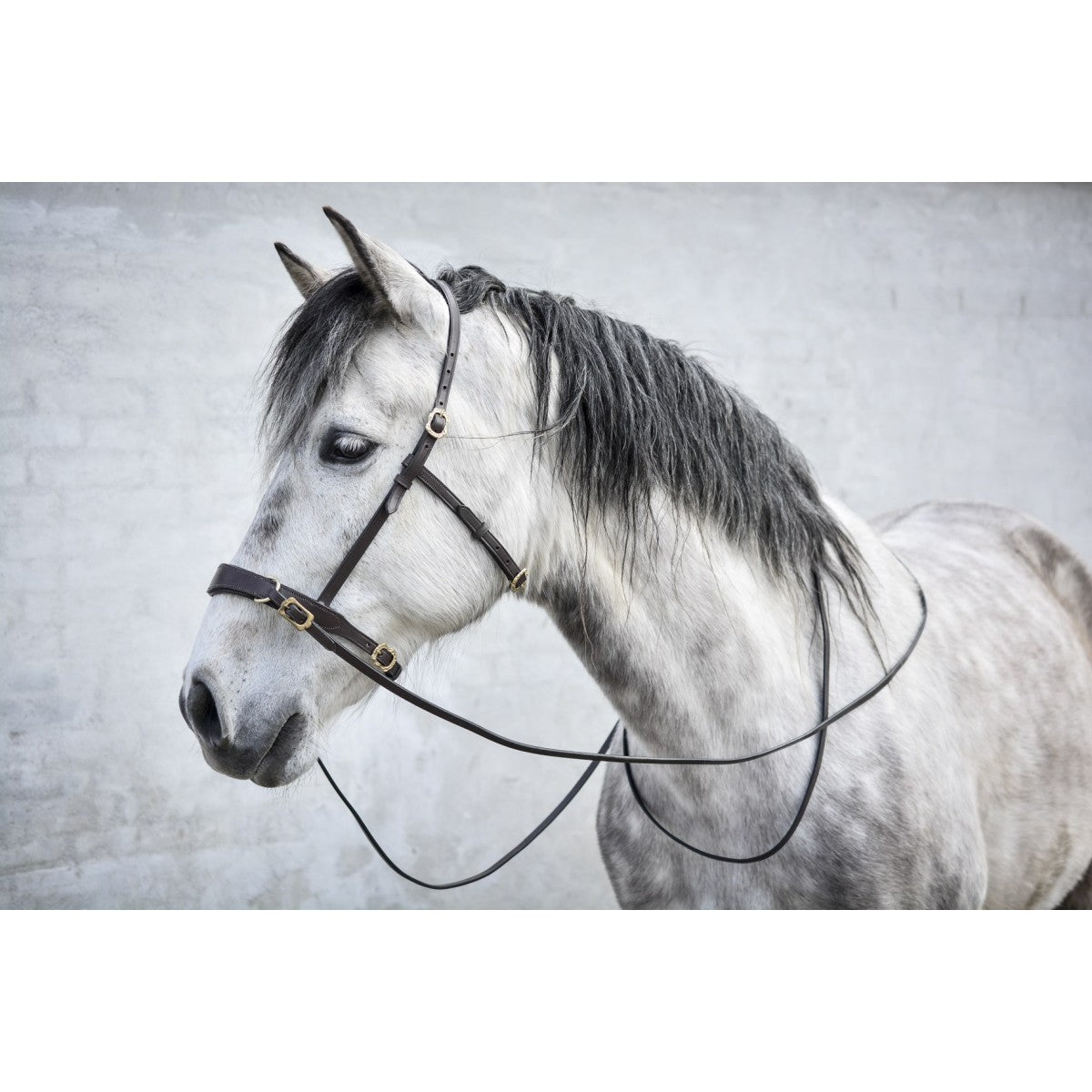 Ridekapsun m 2 ringe