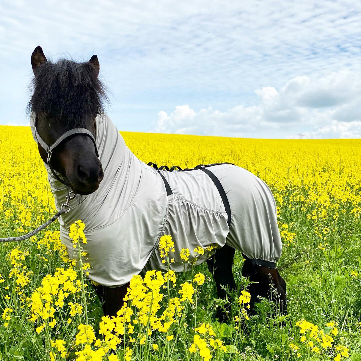 191985192_1600705450120298_4120576090863063204_n