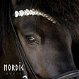 336-s-headstall-silver-leaves-1