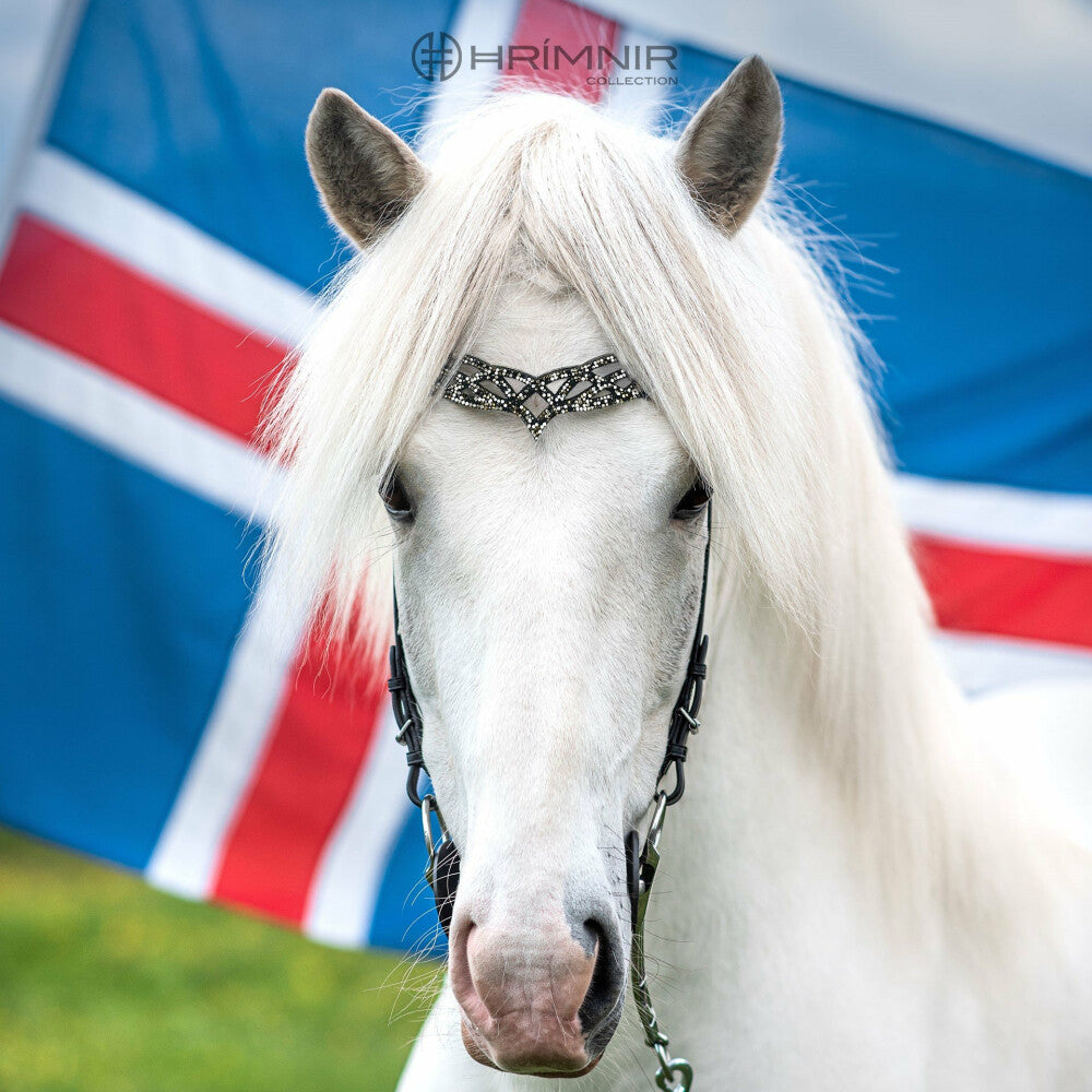 whole_horse_heritage_b_f_i
